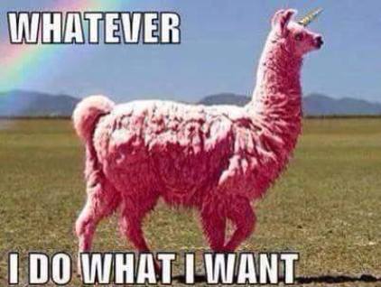 whatever i do what i want pink llama
