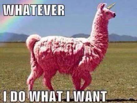 whatever i do what i want pink llama